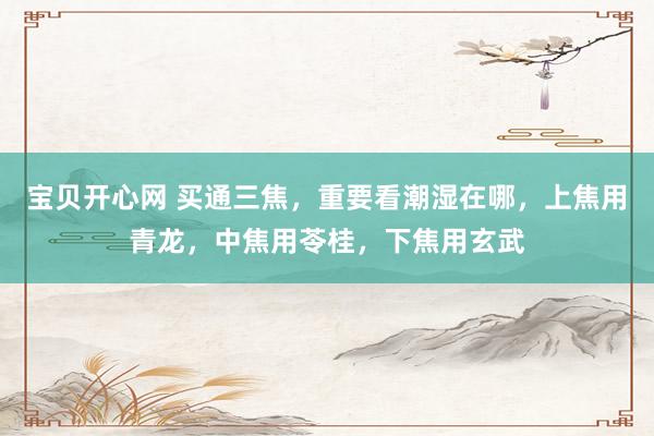宝贝开心网 买通三焦，重要看潮湿在哪，上焦用青龙，中焦用苓桂，下焦用玄武
