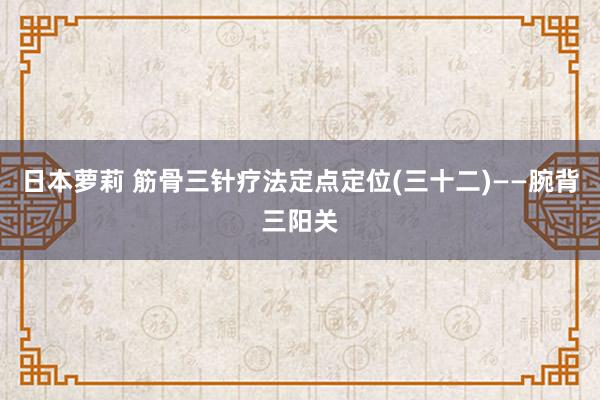 日本萝莉 筋骨三针疗法定点定位(三十二)——腕背三阳关