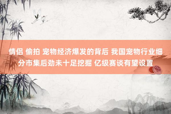 情侣 偷拍 宠物经济爆发的背后 我国宠物行业细分市集后劲未十足挖掘 亿级赛谈有望设置