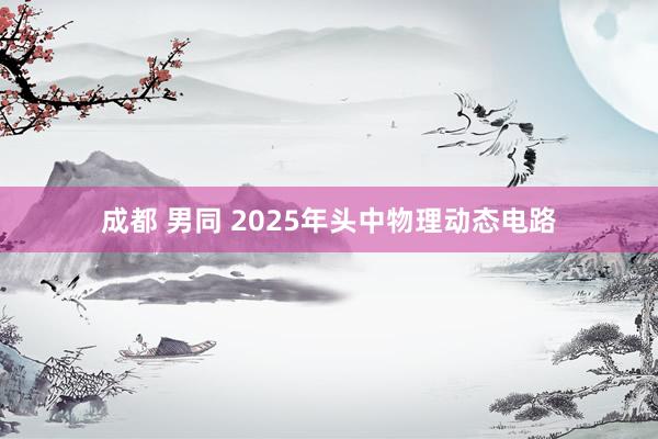 成都 男同 2025年头中物理动态电路