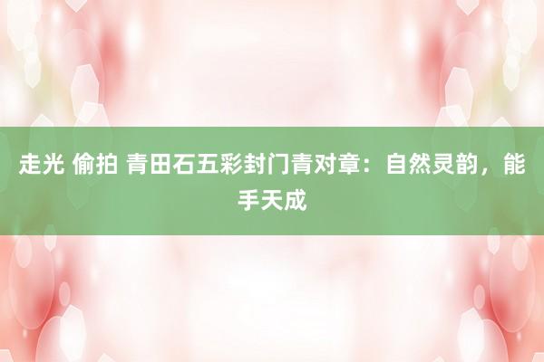 走光 偷拍 青田石五彩封门青对章：自然灵韵，能手天成